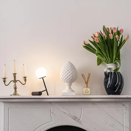 Apartman 22suitedreamer *